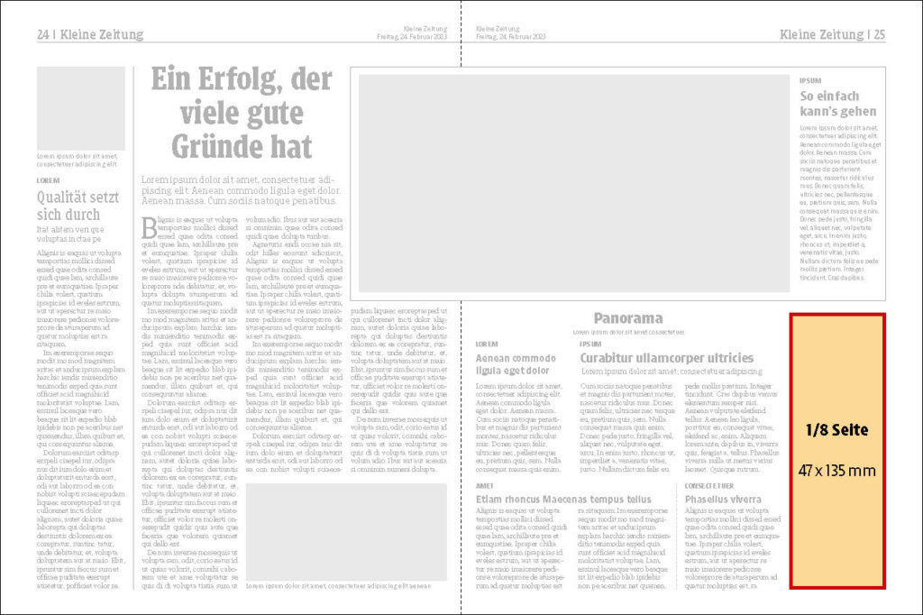 Kleine Zeitung 1 135