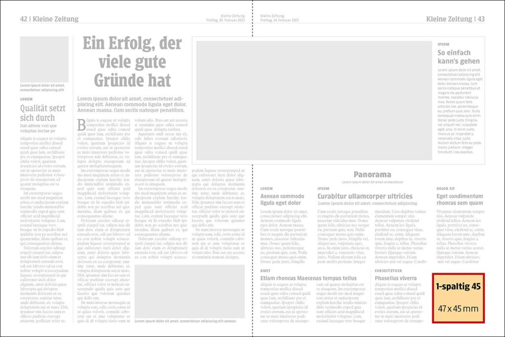 Kleine Zeitung 1 45
