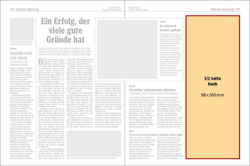 Kleine Zeitung 2 260