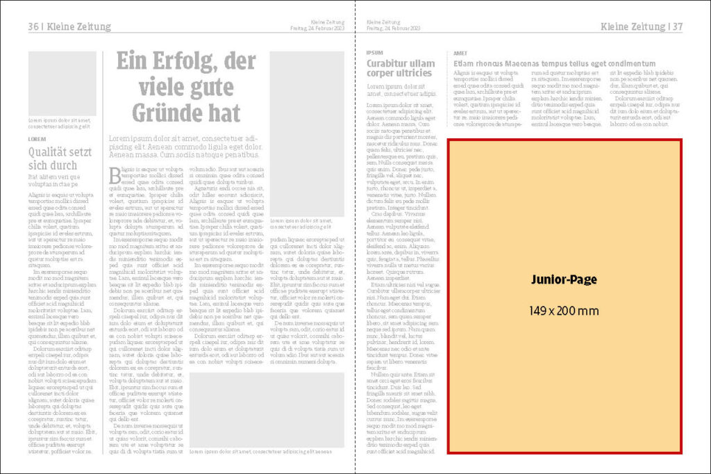 Kleine Zeitung 3 200