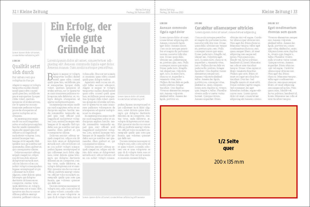 Kleine Zeitung 4 135