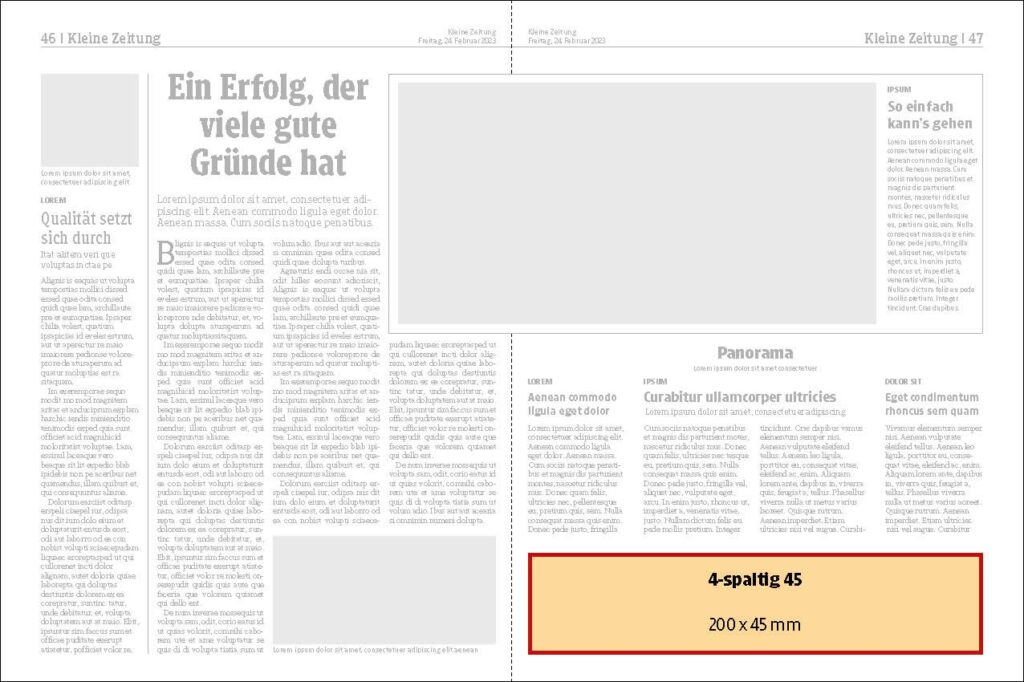 Kleine Zeitung 4 45