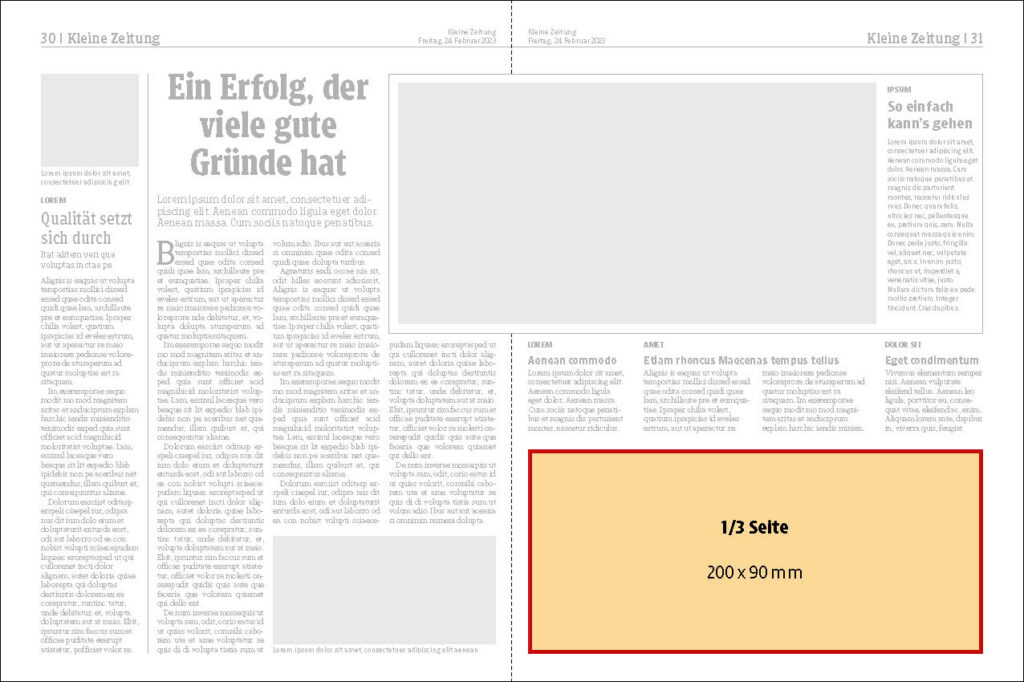 Kleine Zeitung 4 90