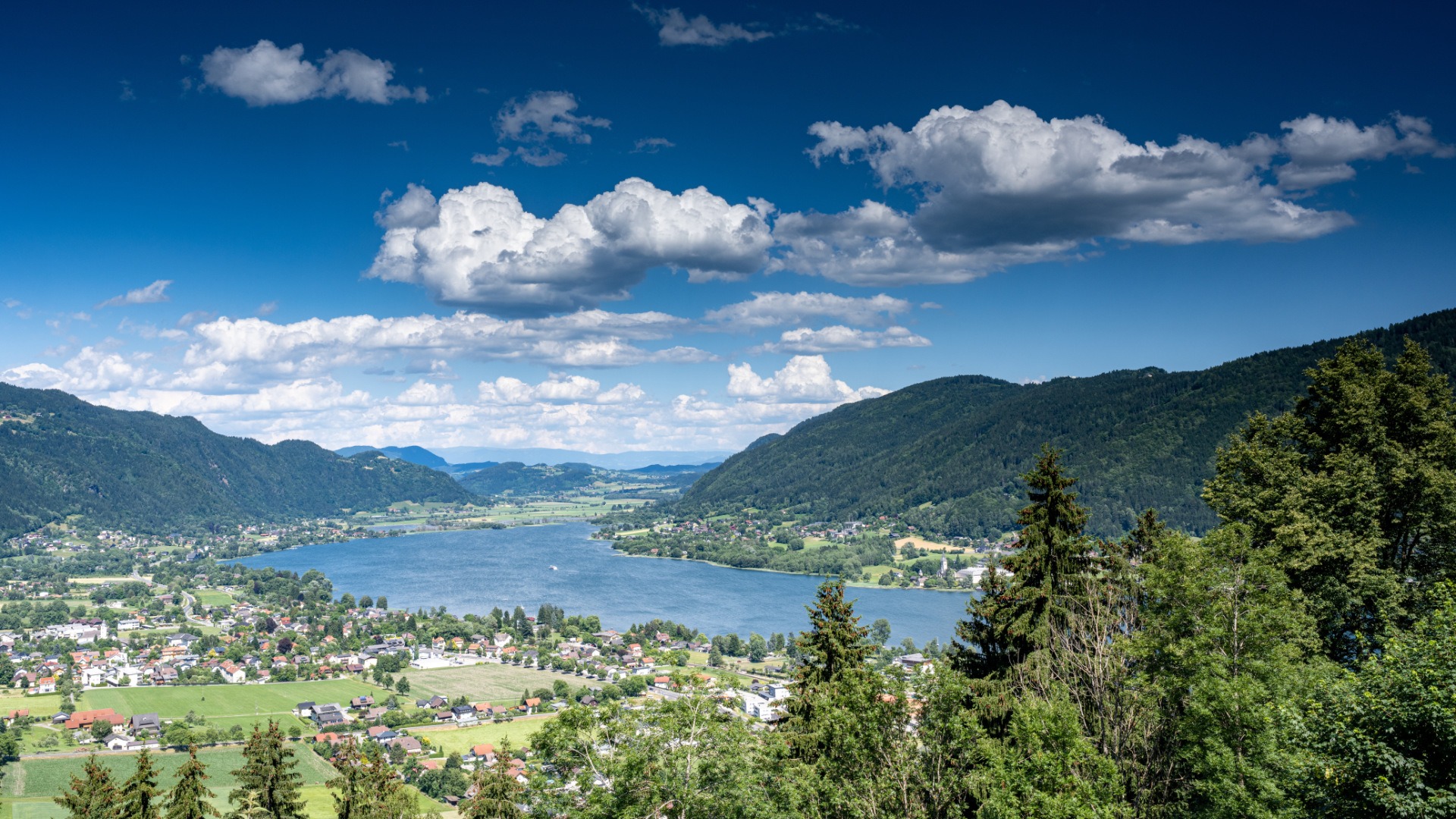 Themenschwerpunkt Fokus St. Veit & Feldkirchen
