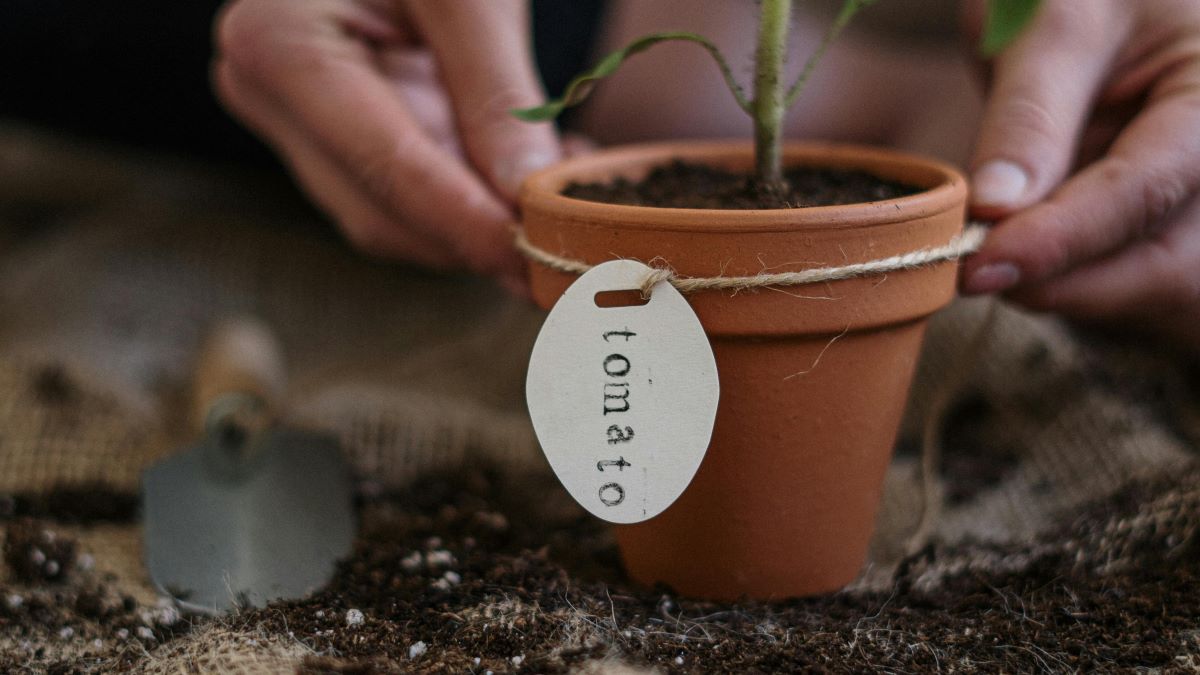 Nachhaltiges Marketing