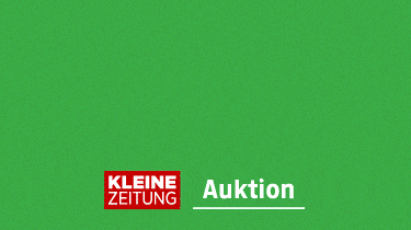 Kleine Zeitung Herbst Auktion_Claim "Das hätt' ich gern!" grün